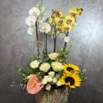 Four Blooms Orkide Aranjman