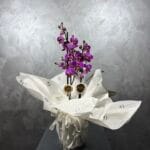 Midi Love Orkide Tasarım