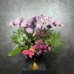 Premium Orkide Tasarım