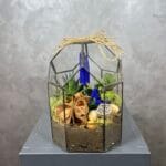 Geometrik Teraryum Çiçek