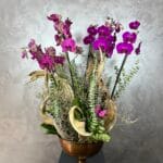 6 Dal Orchid Tasarim