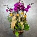 Luxe Six Blooms Orchid