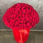 301 Güllü Dev Kutu