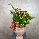 Seramikte Bitki Şöleni