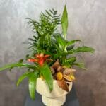 Lovely Garden Teraryum