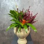 Doğanın Zarif Buluşması