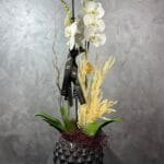 Romantic Whispers Orchid Elegance