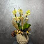 Yellow Orchid Garden