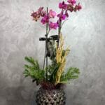 Elegant Fuşya Orkide