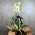 Beyaz Orkide Tasarım