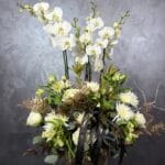 4 Dal Orkide Aranjman