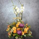 Feel Energy Orkide Aranjman