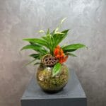 Vazoda Barış Çiçeği