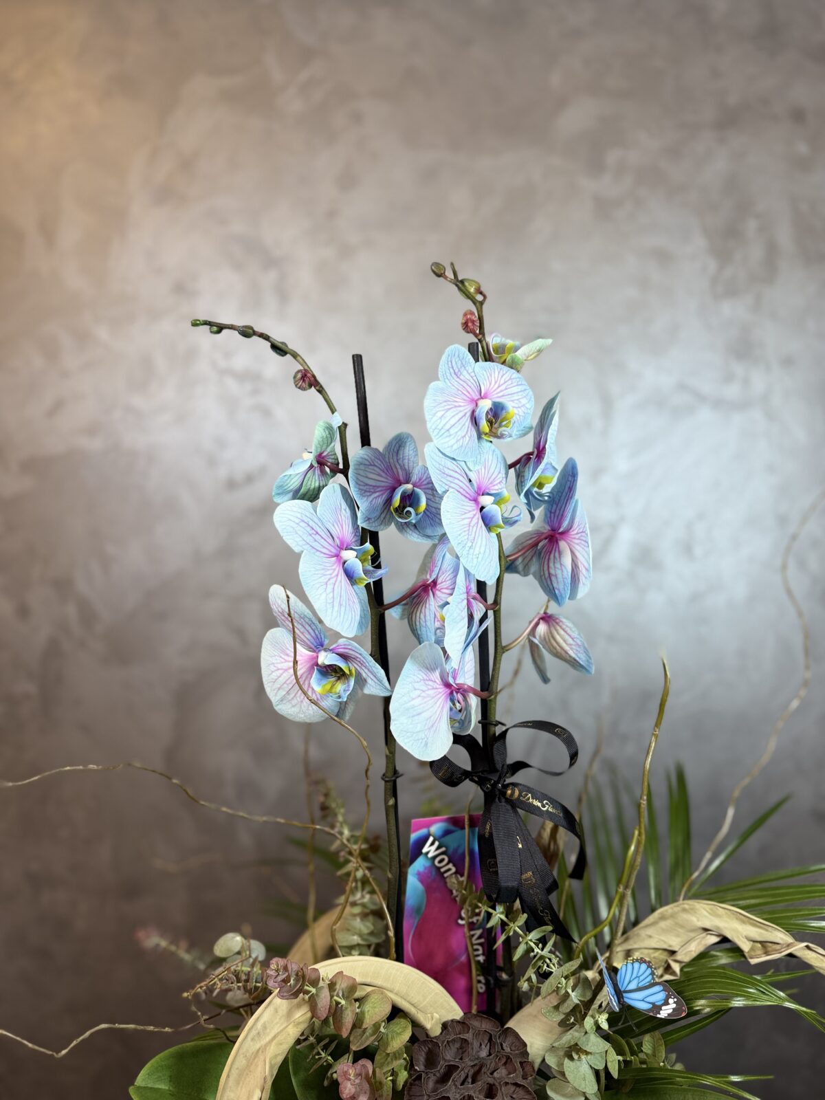 Alacalı Mavi Orkide - Görsel 3