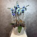 Mystic Blue Orkide Aranjmanı