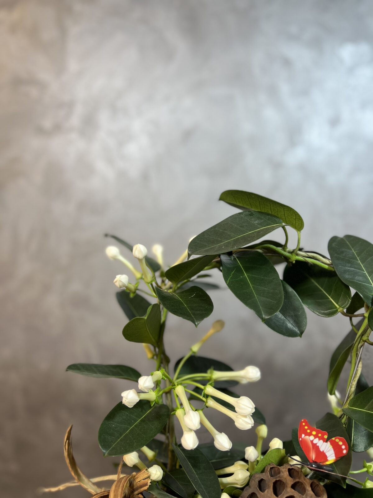 Derin Flowers’ın 'Kokulu Madagaskar Yasemini' aranjmanının yakın plan görüntüsü; minik beyaz çiçekler, dekoratif uğur böceği, kuru lotus kapsülü ve doğal detaylarla süslenmiş zarif bitki tasarımı.