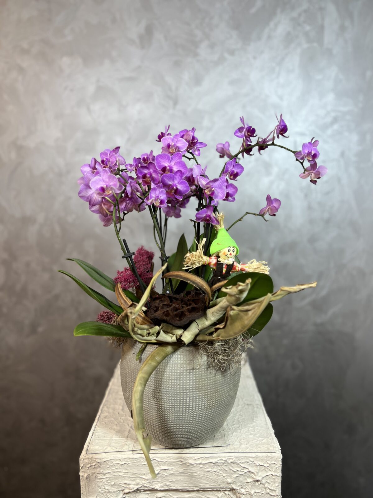 Fuşya Multi Orkide Tasarım - Görsel 3