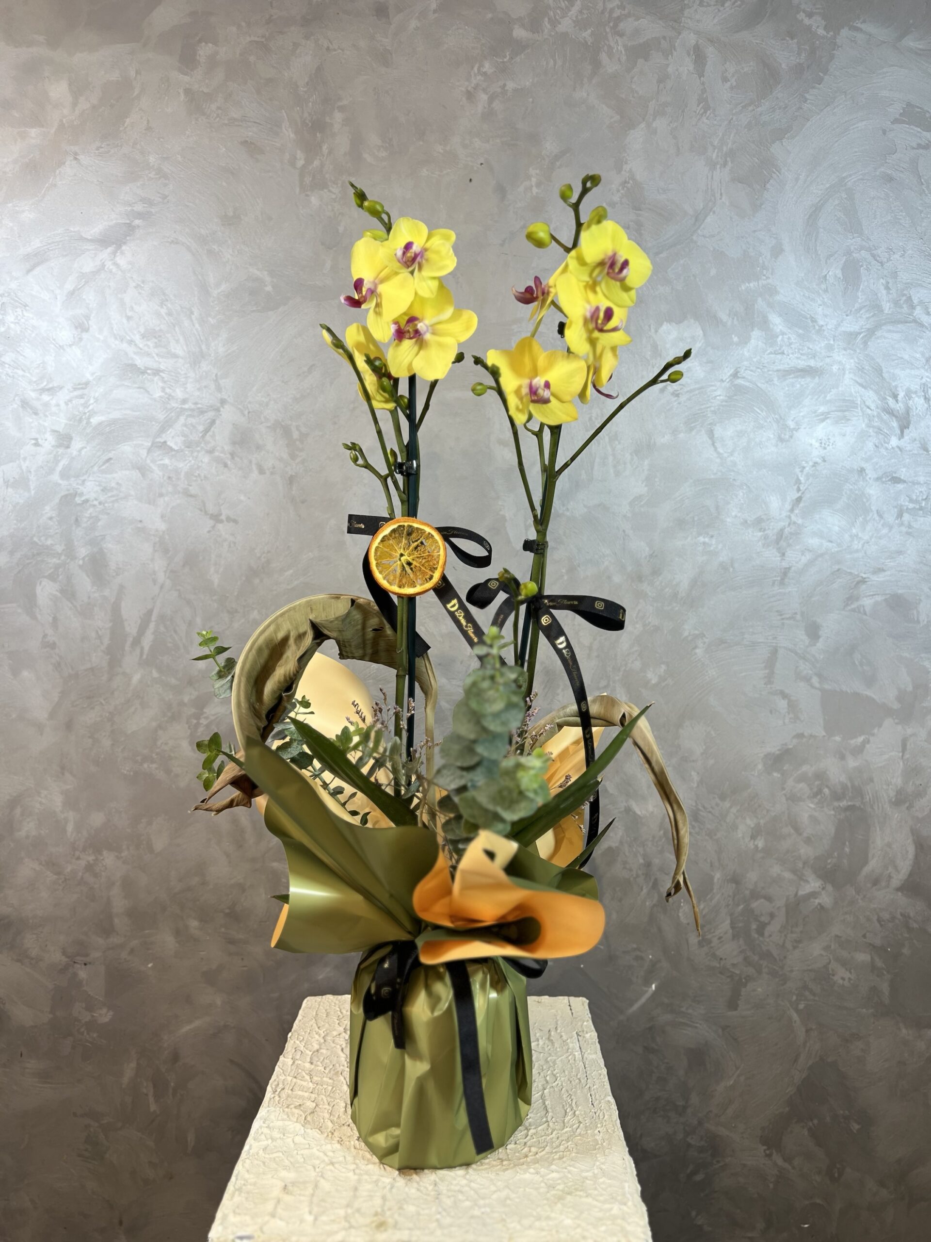 img_4383-2 Jumbo Sarı Orkide - Görsel 1