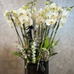 16 Dal Jumbo Orkide Tasarım