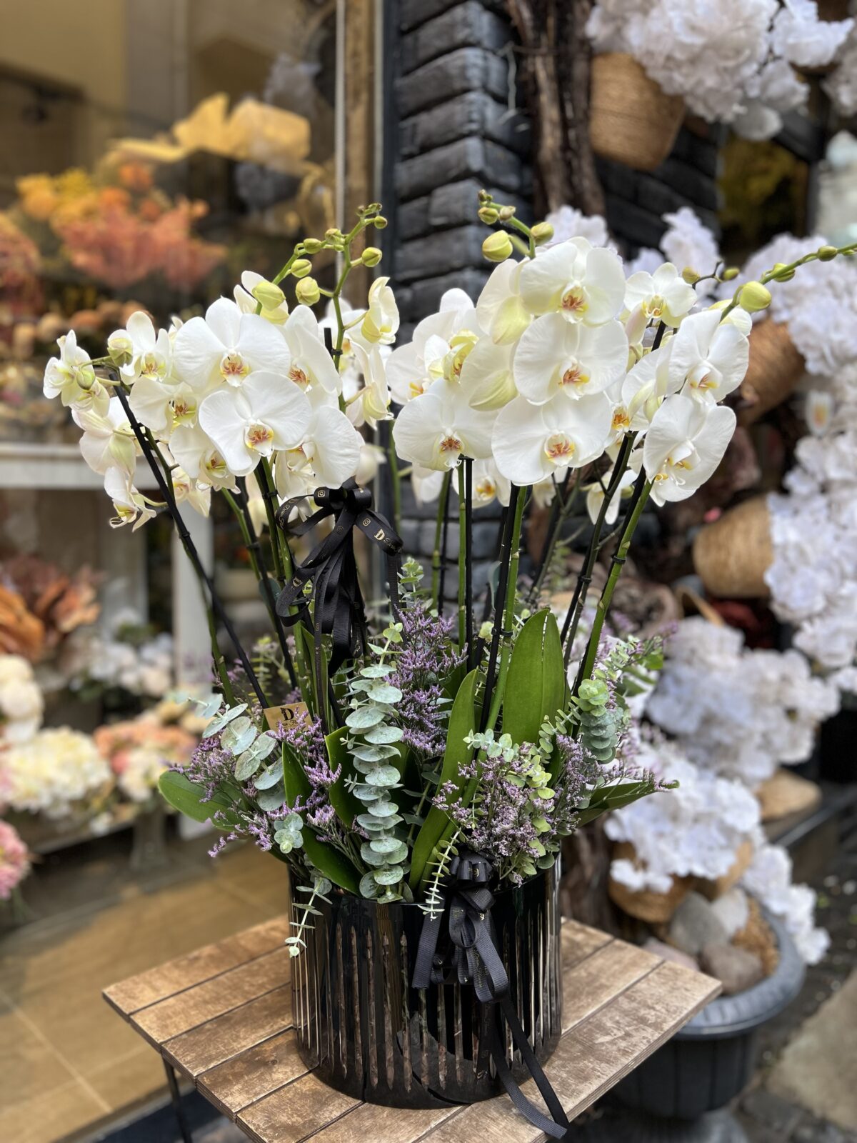 16 Dal Jumbo Orkide Tasarım - Görsel 3