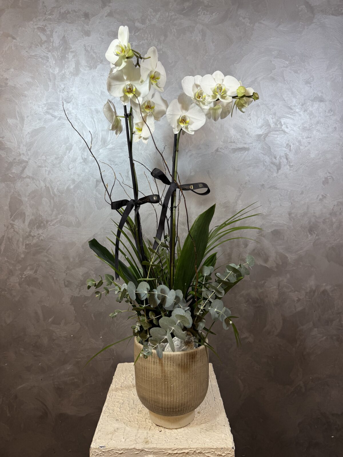 Lüks 2’li Jumbo Orkide - Görsel 2