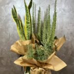 Uyanış Seti | Paşa Kılıcı, Lavanta & Biberiye