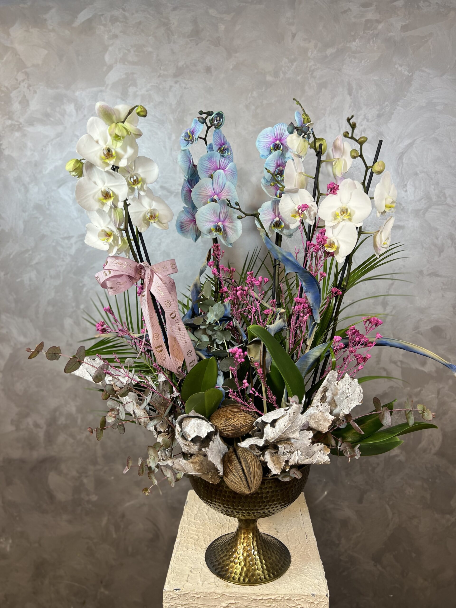 img_6614 6 Dallı Renkli Orkide Tasarım - Görsel 1