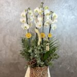 4 Blooms Orchids in Vase