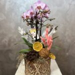 Seramikte Midi Orkide