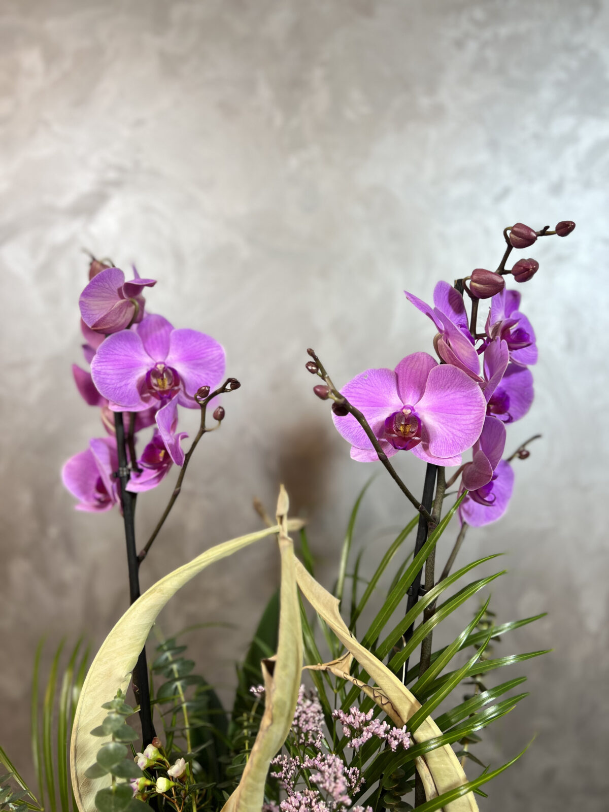 Cam Vazoda Orkide Tasarım - Görsel 2