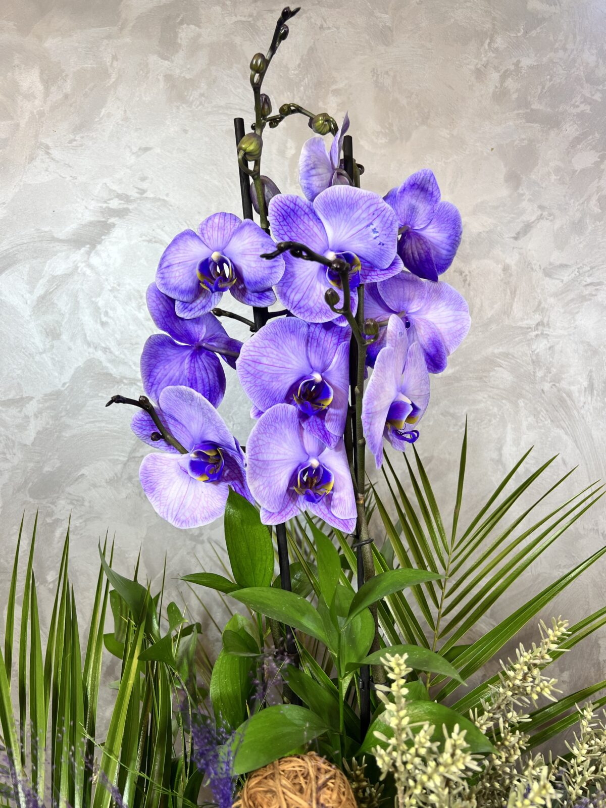 Lila Orkide & Tropikal Yeşil Bitkili Premium Saksı Aranjmanı - Görsel 4