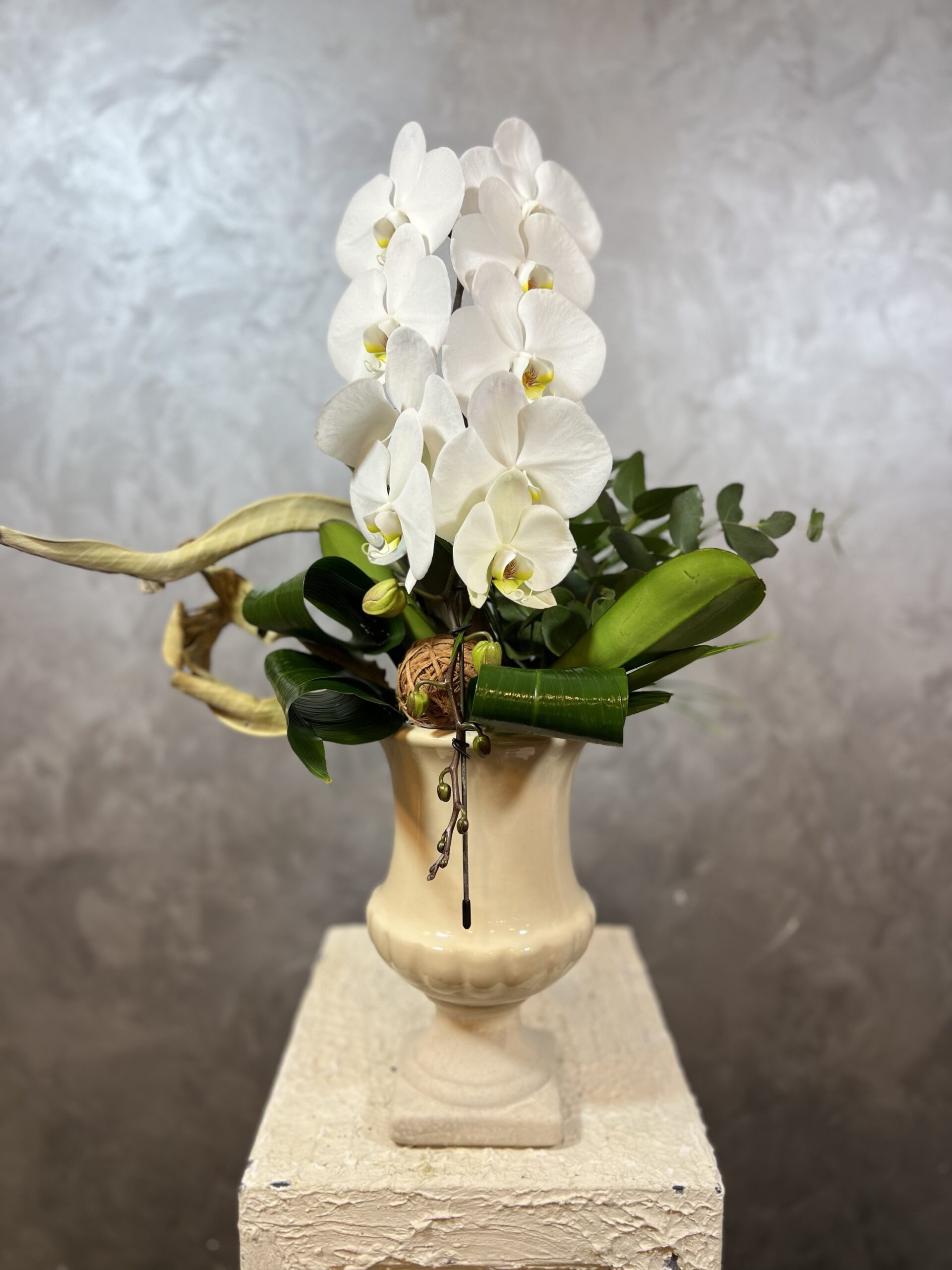 img_8122 Vazoda Şelale Beyaz Orkide – Premium Seramik Saksıda Phalaenopsis - Görsel 1
