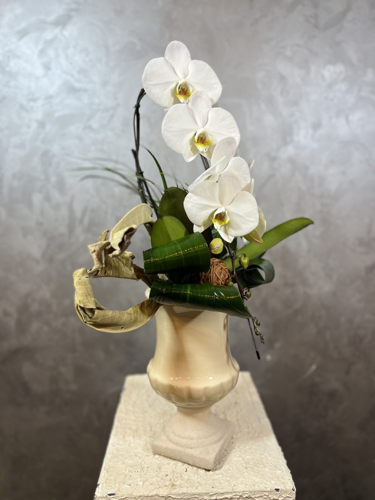 Vazoda Şelale Beyaz Orkide – Premium Seramik Saksıda Phalaenopsis - Görsel 3