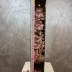 Love Box Orkide – Premium Kutu