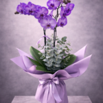 Lavender Grace Orkide | Mor Orkide Tasarım | Derin Flowers