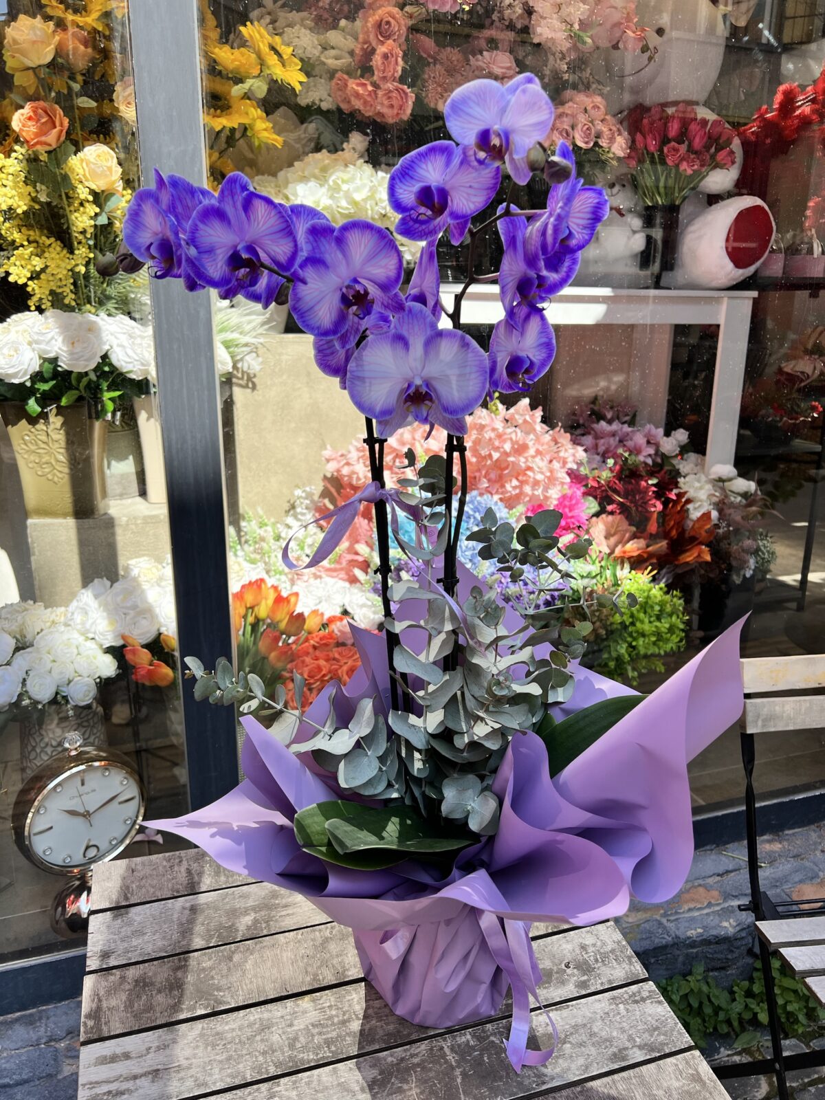 Lavender Grace Orkide | Mor Orkide Tasarım | Derin Flowers - Görsel 2