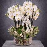 10 Dal Beyaz Orkide Cam Vazoda – Premium Orkide Aranjmanı