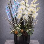 12 Dal Orkide Aranjmanı – Siyah Vazoda Premium Orkide Tasarım