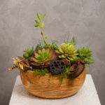 Botanical Bowl | Gerçek Görünümlü Yapay Sukulent Bahçesi